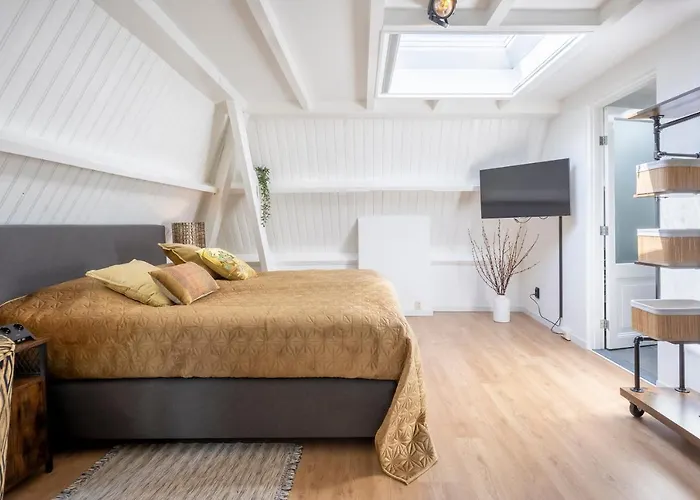 Zandvoort-17 게스트하우스 4*