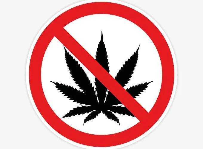 Zandvoort-17 Gasthof